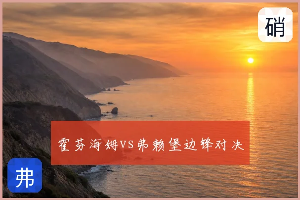 霍芬海姆vs弗赖堡边锋对决