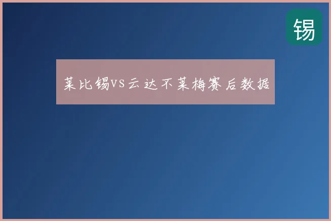 莱比锡vs云达不莱梅赛后数据